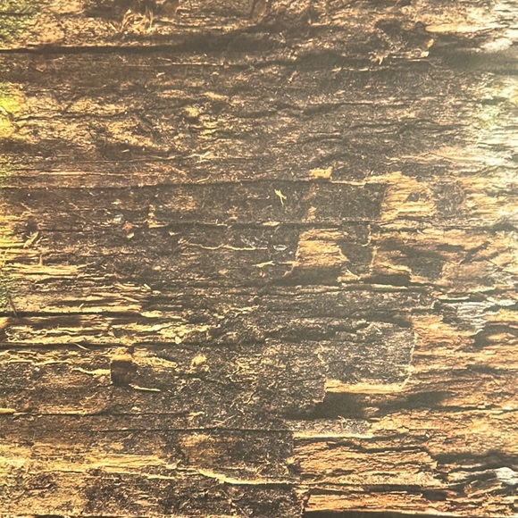 Scrapbook Paper! Wood Backgrounds & Textures! 12x12” - Picture 13 of 17